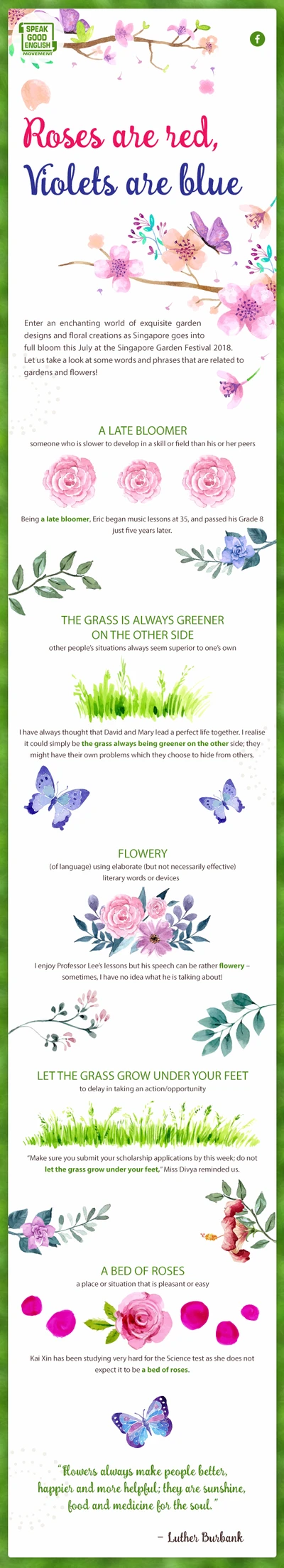 SPEAK GOOD ENGLISH NEWSLETTER JULY 2018